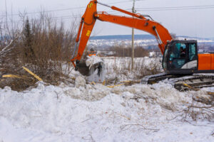 Underbrush Removal